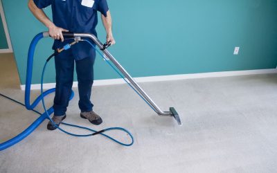 Bio-Steam Carpet Cleaning & Upholstery